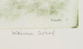 Kórusz József (1927-2010): Dámvadak. Rézkarc, papír, jelzett. Számozott: 63/100. 29,5x39,5 cm. Üvege...