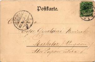 1900 Szczecin, Stettin; Kleine Domstrasse. Verlag v. Wilhelm Günther / street, shops (EB)