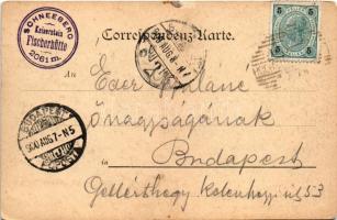 1900 Hochschneeberg, Fischerhütte. Deutsch's Postkarten-Verlag / tourist rest house (EK)