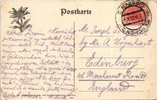 1906 Cieszyn, Teschen a. d. Olsa; Demelplatz aus der Vogelperspektive. Ed. Feitzinger 817. I. / squa...