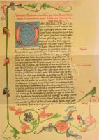 A magyar irodalom története I-II. kötet. Képes díszmunka két kötetben. Szerk.: Beöthy Zsolt, Badics ...