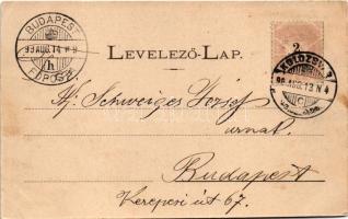 1899 Kolozsvár, Cluj; New York szálloda, Kolozsvár közepe a Fellegvárról nézve, Fő tér a Luteránus t...