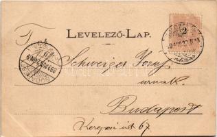 1899 Kolozsvár, Cluj; Pénzügyi és erdészeti paloták, Emke palota, Unitárius Kollégium és templom, Kü...