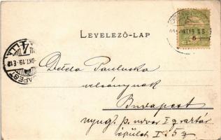 1904 Szászsebes, Mühlbach, Sebes; Evang. Kirche. Verlag A. Gross / evangélikus templom, Josef Hientz...