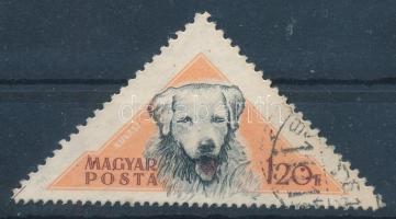 1956 Magyarországi kutyafajták I. 1,20Ft bélyeg, a kutya szürke színe lecsúszott