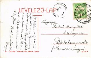 1909 Fogaras, Fagaras; Vármegye közkórháza. W. L. Bp. 6091. Thierfeld Dávid kiadása / hospital (szak...