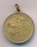 1898. "Istenért Királyért Hazáért / 1848-1898 Szabadság - Testvériség - Egyenlőség - Szabadságharczunk Dicső Emlékére" kétoldalas, aranyozott bronz emlékérem füllel (29mm) T:XF, aranyozás kopás