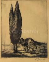 Bencze László (1907-1992): Hazafelé. Rézkarc, papír, jelzett, üvegezett fakeretben, 16×12,5 cm