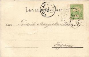 1903 Fehéregyháza, Albesti; Segesvári csata honvéd emlékműve, Petőfi sírja / 1848-49 Heroes' mo...