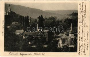 1903 Segesvár, Schässburg, Sighisoara; látkép. Vándory kiadása / general view (felületi sérülés / surface damage)