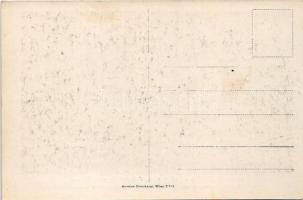 Kaiser und König Karl bei der Wiener Jugend. Photographische Aufnahme des Monarchen durch einen Schü...