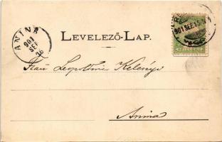 1901 Resicabánya, Resica, Resicza, Resita; Igazgatósági épület és park. Ifj. Neff Károly kiadása / D...