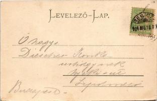 1904 Resicabánya, Resica, Resicza, Resita; Szekuli híd. Braumüller L. kiadása / Szekuler Brücke / br...