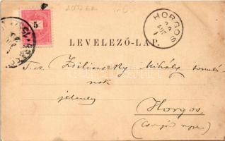 1899 Segesvár, Schässburg, Sighisoara; látkép. Zeidner H. kiadása / general view + "BRASSÓ - BU...