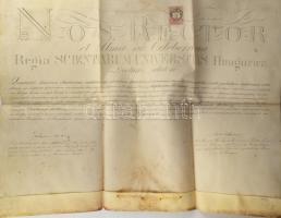 1887 Békássy István (1863-19321) Vas vármegye aljegyzője, majd főispánja államtudományi doktori oklevele ("doctorem politices"), a Budapesti Tudományegyetem rektora, Id. báró Korányi Frigyes (1828-1913) orvos, egyetemi tanár, egyetemi rektor (1886-1887), és Hoffmann Pál (1830-1907) jogász, dékán, egyetemi tanár aláírásaival, 1 Ft okmánybélyeggel, pergamen, foltos, hajtott, függőpecsét nélkül.