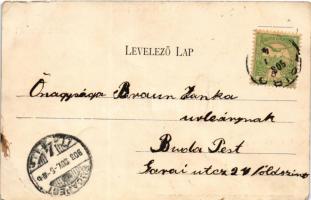 1903 Zsibó, Jibou; Római katolikus templom, Állami iskola, Merza Testvérek üzlete és saját kiadása. ...