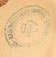 1870-1877 Selmecbánya, Kuzma Gyula (1855-1932) erdész hallgató(M. Kir. Bányás és Erdész Academia) is...