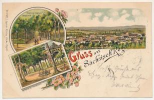 1900 Szászrégen, Reghin; Haupteingang zum Stadtpark, Festhalle. Gustav Rösler No. 1798. / főbejárat a parkba, csarnok / main entry to the park, hall. Art Nouveau, floral, litho