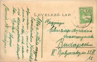 1910 Borszék, Borsec; Villa Pax / villa, spa. O.Z.M. litho (EK)