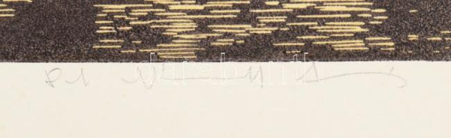 Németh András (1941-): Holtág (Mártély). Színes linómetszet, papír, jelzett. 30×50 cm