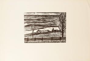 Perei Zoltán (1913-1992): Táj. Fametszet, papír. Jelzés nélkül. Lapszéli törésnyomokkal és kisebb szakadással. 20x27 cm.