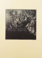 Rozanits Tibor (1931-): Epidauroszi tücskök szóljatok... (Devecseri Gábor emlékére). Linómetszet, papír, jelzett, számozott (4/25). 29×29,5 cm