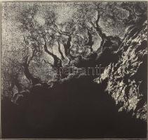 Rozanits Tibor (1931-): Epidauroszi tücskök szóljatok... (Devecseri Gábor emlékére). Linómetszet, pa...