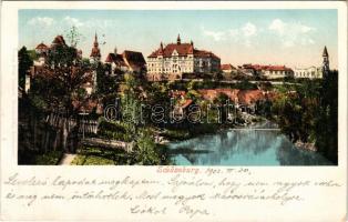 1902 Segesvár, Schässburg, Sighisoara; látkép / general view (fa)