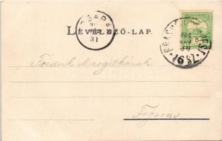 1902 Segesvár, Schässburg, Sighisoara; látkép / general view (fa)