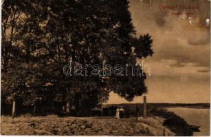 Pécska, Magyarpécska, Pecica; Maros részlet. Iritz Manó kiadása / Mures riverside (b)