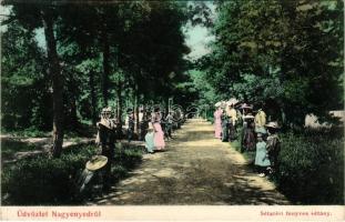 1906 Nagyenyed, Aiud; Sétatéri fenyves sétány. Földes Ede kiadása / promenade