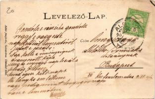 1907 Algyógy, Geoagiul de jos, Geoagiu; Földmíves iskola főépületének északi oldala (a tanulók lakos...