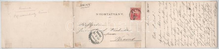 1905 Anina, Stájerlakanina, Stájerlak, Steierdorf; vasgyár teljes látképe. Három részes kihajtható p...