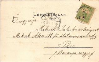 1905 Zajzon, Zaizon-fürdő, Zajzonfürdő, Baile Zizin; Nándor kút, Séta és tennistér, teniszpálya. Bra...