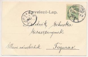 1902 Nagyszeben, Hermannstadt, Sibiu; K. u. Finanzgebäude mit Elisabethpark / Pénzügyigazgatóság és ...