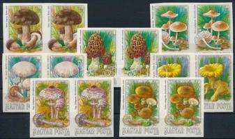 1984 Gombák I. - Ehető vágott sor párokban