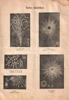 Emmerling Adolf tűzijáték, lampion, zászló és farsangicikk-gyárának képes árjegyzéke. (1930 körül).
...