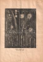 Emmerling Adolf tűzijáték, lampion, zászló és farsangicikk-gyárának képes árjegyzéke. (1930 körül).
...