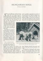 [Folyóirat] Hungary Illustrated. A Review of Hungary's Past and Present. Edited by Sir Robert D...