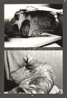 [Kézirat] A sopronbánfalvi pálos kolostor életnagyságú, barokk, allegorikus szószéki szobrának resta...