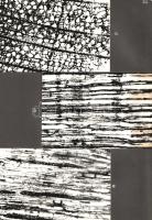 [Kézirat] A sopronbánfalvi pálos kolostor életnagyságú, barokk, allegorikus szószéki szobrának resta...