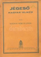 Bárdosi Németh János: Jégeső. Magyar tájkép. A szerző, Bárdosi Németh János (1902-1981) író, költő, szerkesztő által DEDIKÁLT példány. [Pécs], 1930, Nemzedékek, 102+2 p. Kiadói papírkötés, szakadt foltos borítóval.