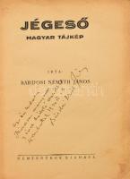 Bárdosi Németh János: Jégeső. Magyar tájkép. A szerző, Bárdosi Németh János (1902-1981) író, költő, ...