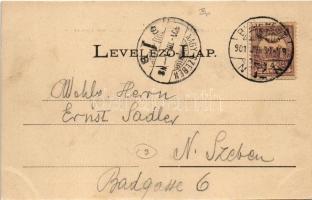 1901 Budapest IX. Látkép az elevátorból, Citadella, Gellért tér még befejezetlen, vasúti sínek. Fény...