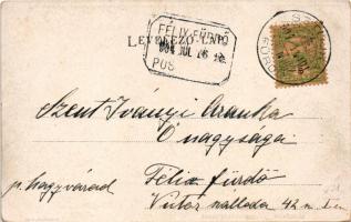 1904 Magyarlápos, Oláhlápos, Targu Lapus; Római katolikus templom. F. Schöler kiadása / Catholic chu...