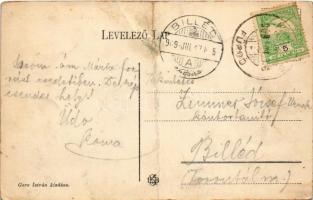 1909 Málnásfürdő, Malnas Bai; Albert villa. Gere István kiadása / villa (fa)