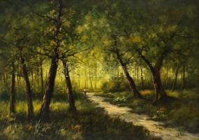 Szentmiklóssy Mudrony Sándor (-), működött a XX. első felében: Hölgy az erdőben. Olaj, vászon. Jelze...