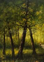 Szentmiklóssy Mudrony Sándor (-), működött a XX. első felében: Hölgy az erdőben. Olaj, vászon. Jelze...