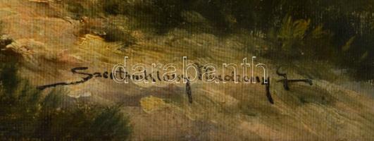 Szentmiklóssy Mudrony Sándor (-), működött a XX. első felében: Hölgy az erdőben. Olaj, vászon. Jelze...