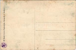 Tőketerebes, Trebisov; Gróf Andrássy kastély a parkkal. Vasúti levelezőlapárusítás 337. / castle wit...